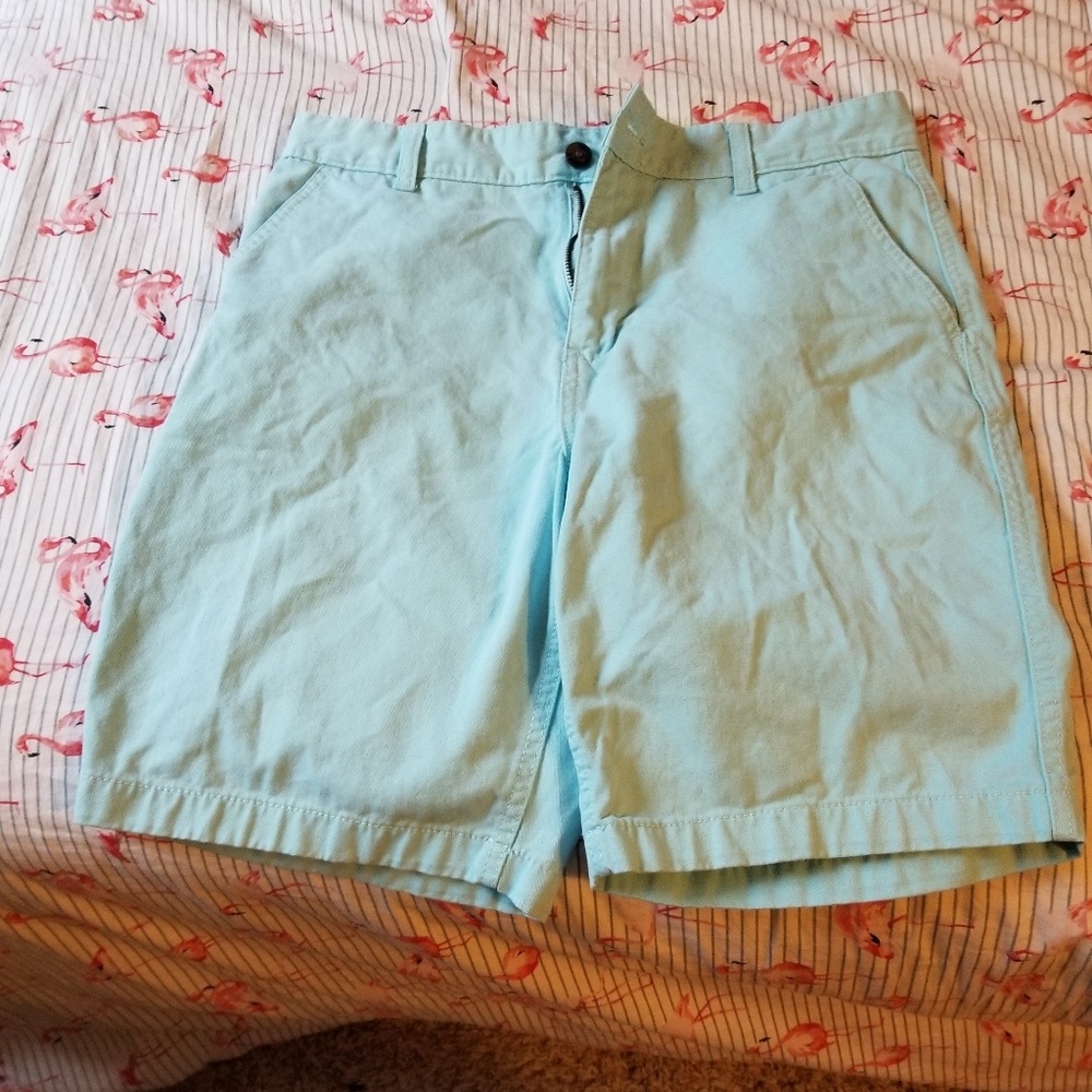 Light turquoise shorts. Unisex.